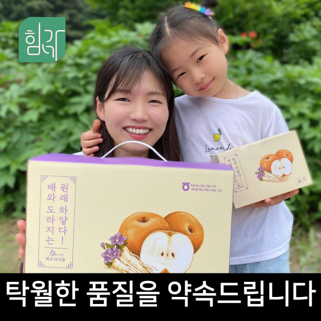 힘가네 도라지배즙 1박스(80ml x 40개입) — 힘가네 도라지배즙, 어떤 특징을 가지고 있나요?