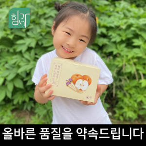 힘가네 도라지배즙 1박스(80ml x 40개입) 맛있게 먹은 솔직 후기 - 상품 이미지 4