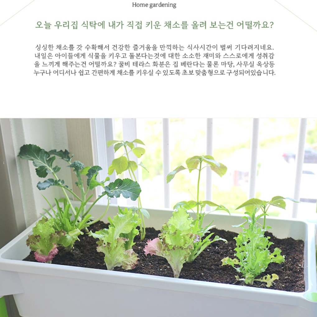 사각 플라스틱 대형 화분 버티컬 가든 2단 대형 직사각 화분 - 상세 이미지 3