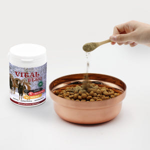 카이쿠라 바이탈베르크 100g 강아지 기관지 영양제 기침 기관지협착증 켁... 솔직 후기 | 실제 사용자 리뷰 총정리 - 상품 이미지 4