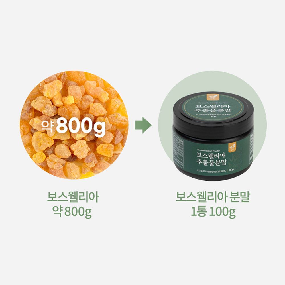 한정특가[2+1구성] 보스웰리아 추출분말 100g x3개 인도산100% 관절건강 보스웰리아 가루 - 상세 이미지 3