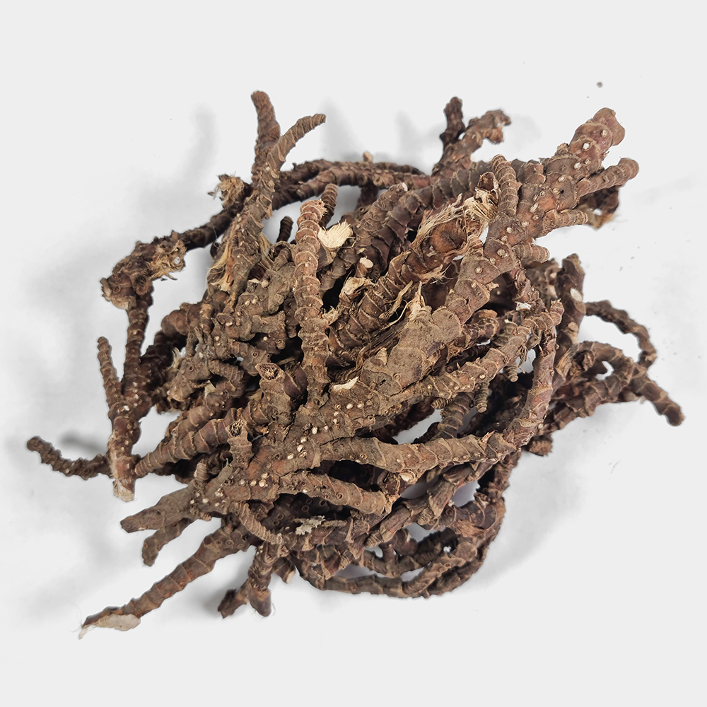 국산 석창포 250g - 상세 이미지 3