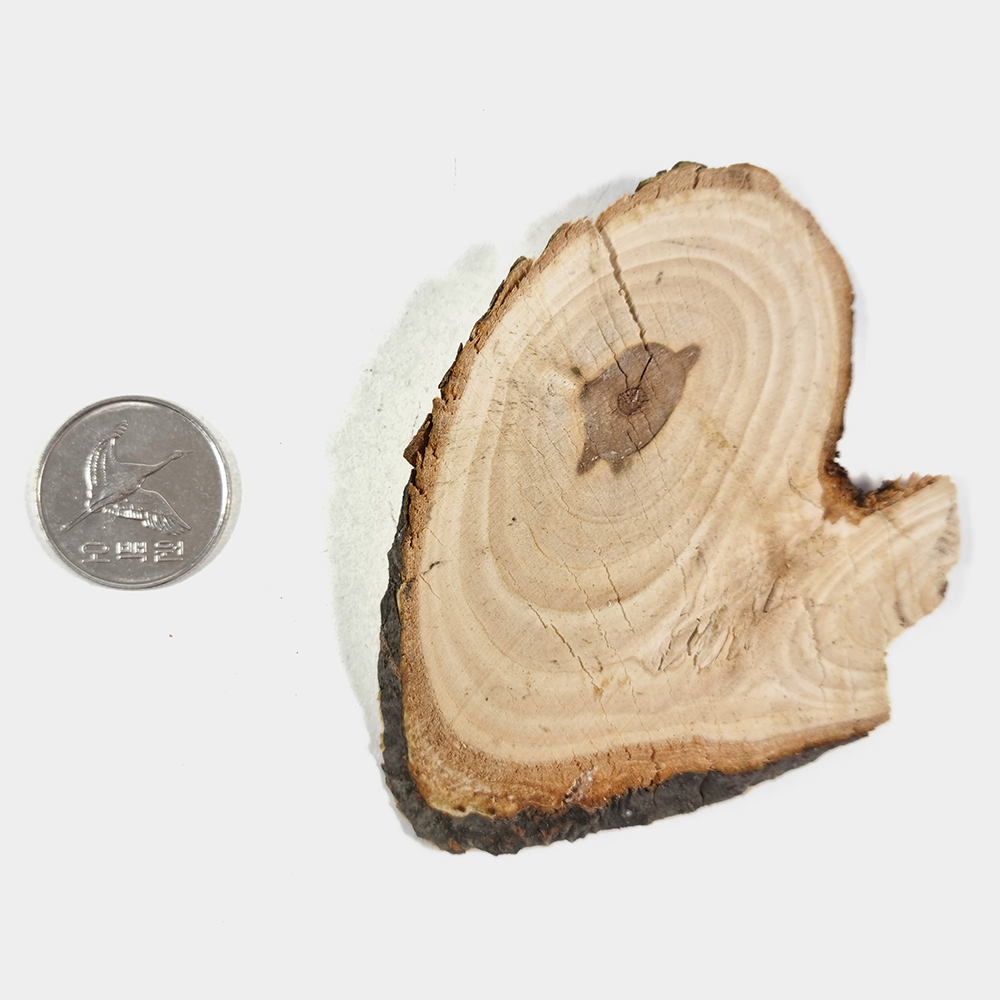 국산 마가목편 250g 마가목주 - 상세 이미지 5