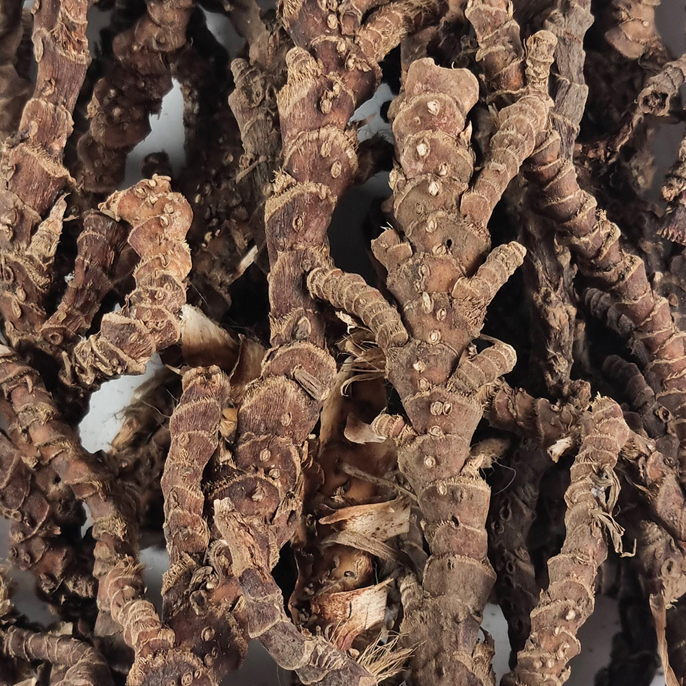 국산 석창포 250g - 상세 이미지 4