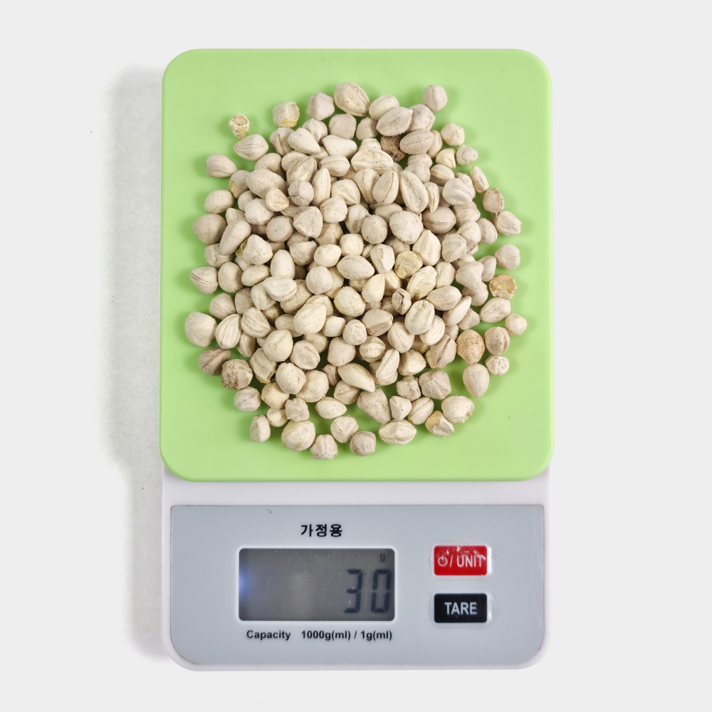 모링가씨앗 모링가씨 250g 이미지 6