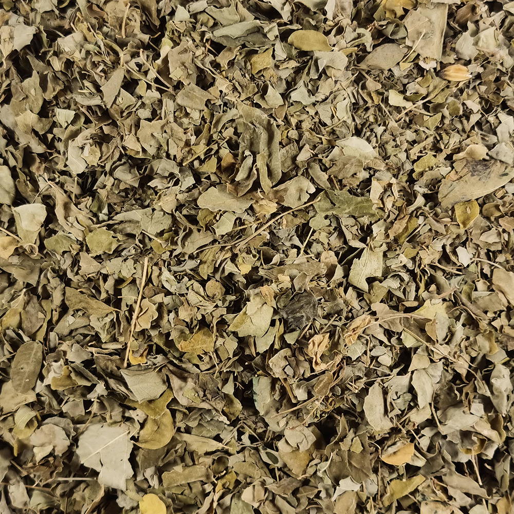 모링가 모링가잎 250g - 상세 이미지 4