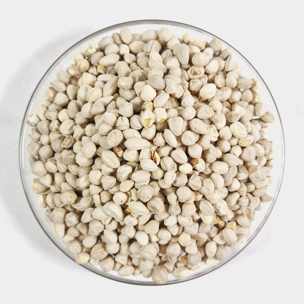 모링가씨앗 모링가씨 250g - 상세 이미지 3