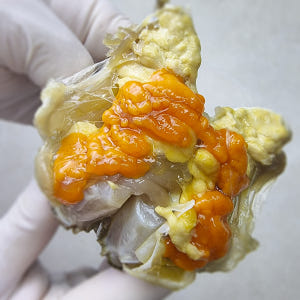 착한미식가 돌게장 국내산 연평도 돌게 맛있게 먹은 솔직 후기 - 상품 이미지 3