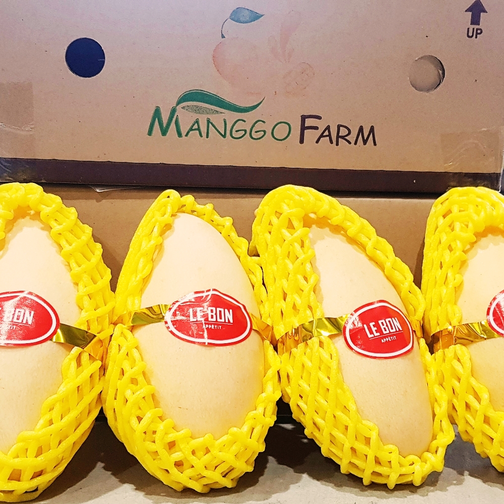 태국망고 골드 남독마이 프리미엄 생망고 4입