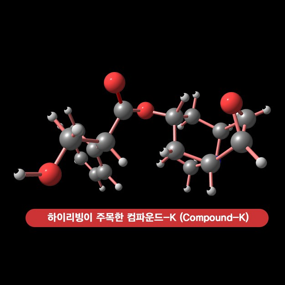 하이리빙 진홍삼 씨케이 20ml x 30포 이미지 3