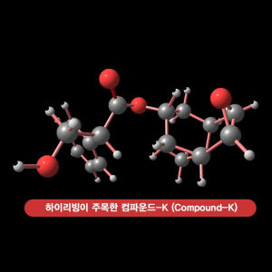 하이리빙 진홍삼 씨케이 20ml x 30포 맛있게 먹은 솔직 후기 - 상품 이미지 3