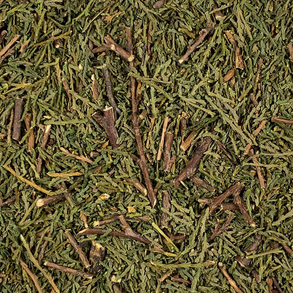 국내산 측백 측백엽 측백나무잎 250g - 상세 이미지 4