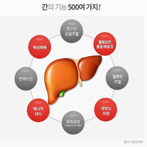 종근당 간 밀크씨슬 6박스 맛있게 먹은 솔직 후기 - 상품 이미지 4