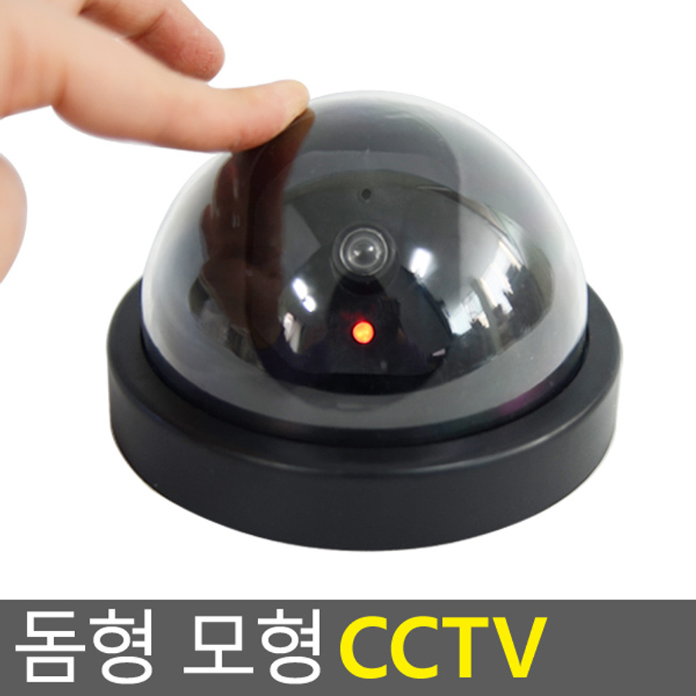 공갈CCTV 모조CCTV 씨씨티브이 가짜cctv - 상세 이미지 3