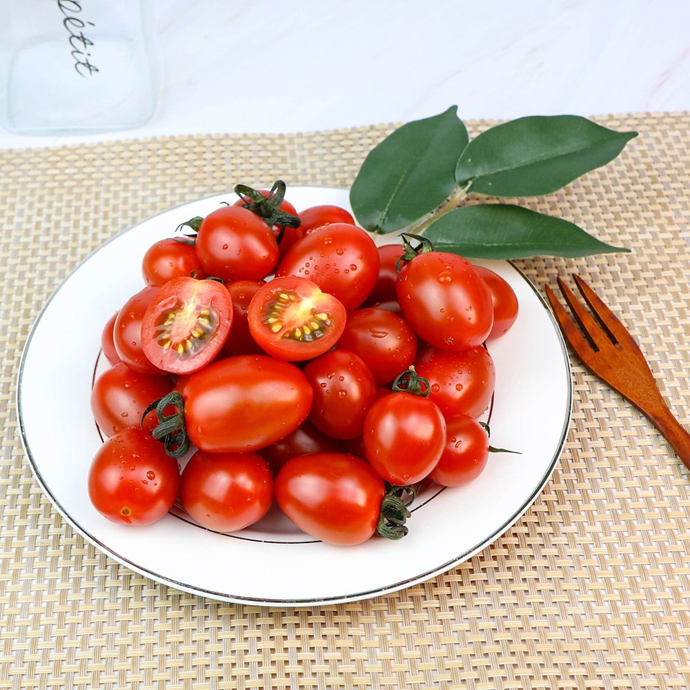 대추 방울토마토 스테비아 토마토 로얄과사이즈 - 상세 이미지 2