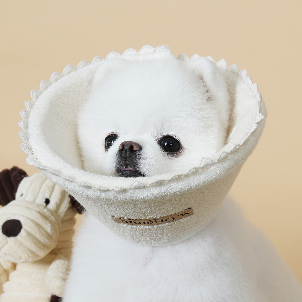 초코펫하우스 강아지 오가닉 레이스 넥카라 이미지 2