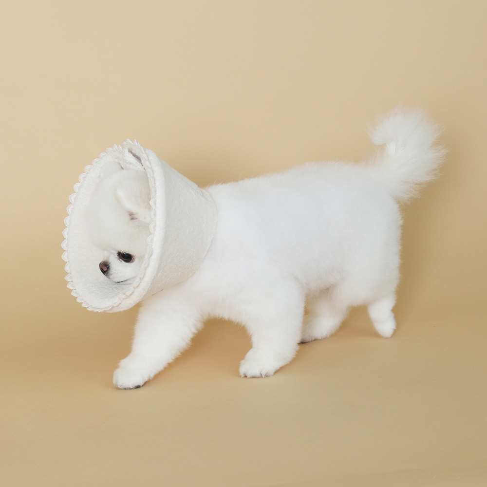 초코펫하우스 강아지 오가닉 레이스 넥카라 이미지 3