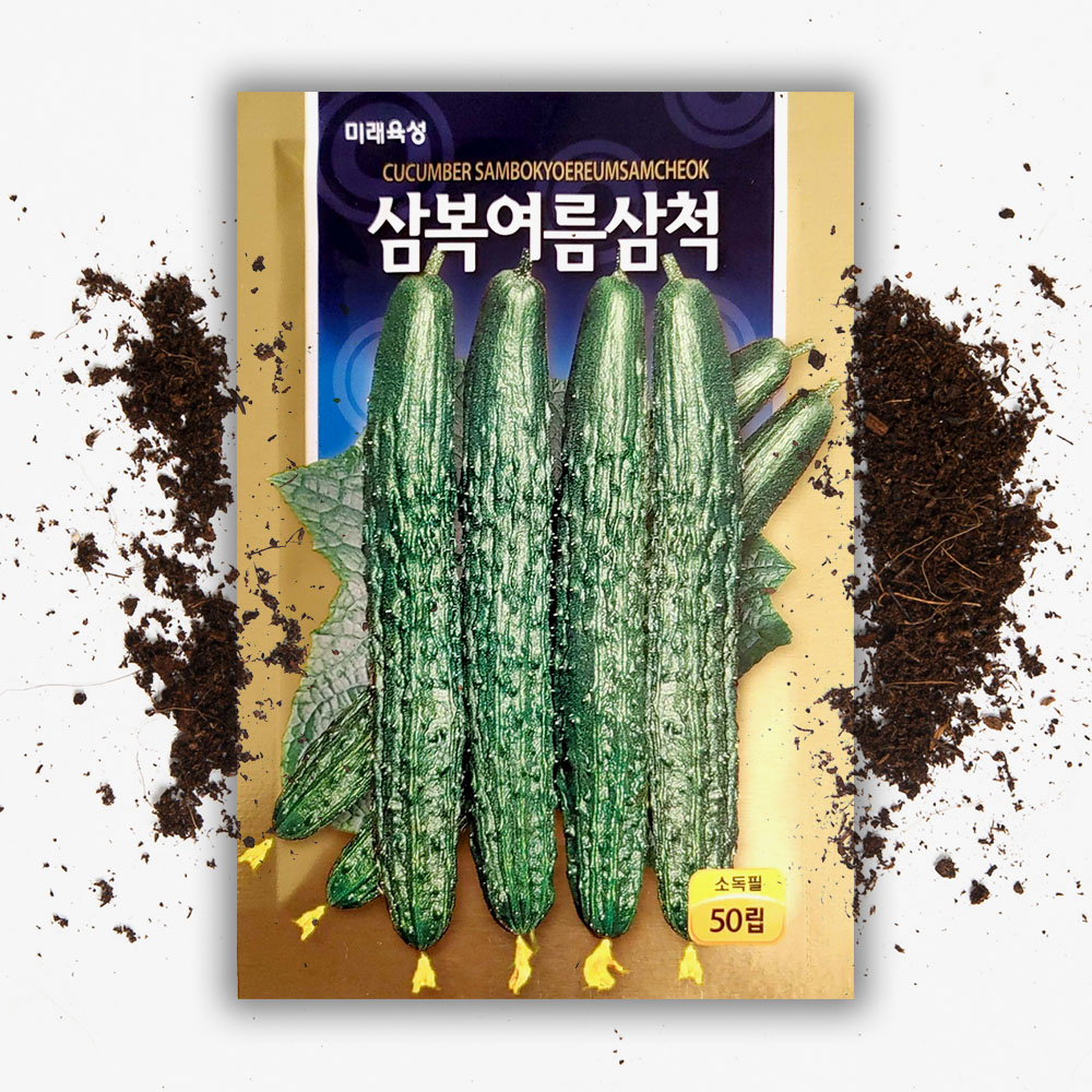여름 오이씨앗 재배 가시 오이 씨앗 50립 씨 종자 - 상품 이미지