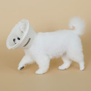 초코펫하우스 강아지 오가닉 레이스 넥카라 솔직 후기 | 실제 사용자 리뷰 총정리 - 상품 이미지 4