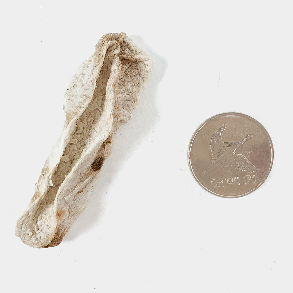 국산 산약 말린마 건조마 250g - 상세 이미지 5