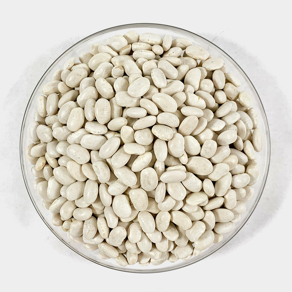 흰강낭콩 네이비빈 1kg 흰콩 하얀콩 - 상세 이미지 3