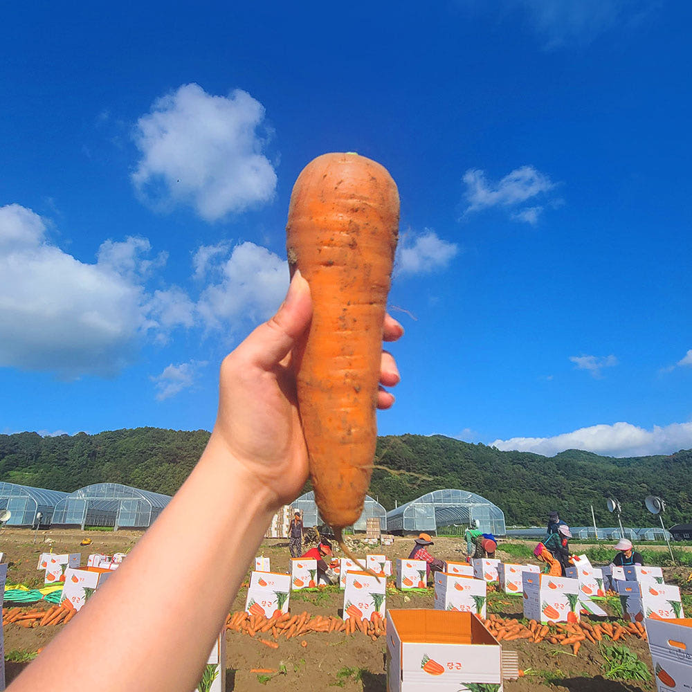 친환경마음밭 유기농 무농약 흙당근 3kg 5kg 가격 추이 친환경 마음밭 친환경마음밭 유기농 무농약 흙당근 3kg 5kg - 최저가 16,400원