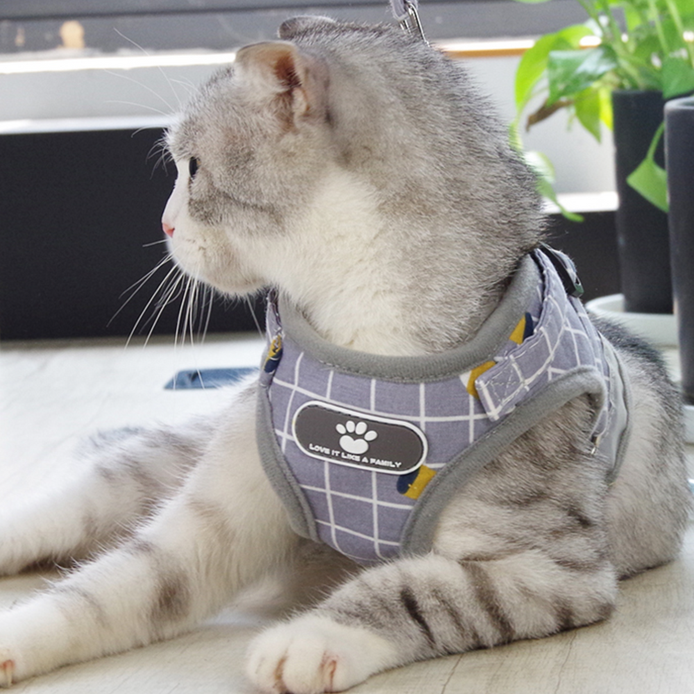 퍼플펫 고양이 하네스 가슴줄 목줄 고양이전용 산책줄 체크무늬