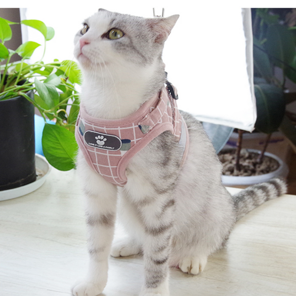 퍼플펫 고양이 하네스 가슴줄 목줄 고양이전용 산책줄 체크무늬