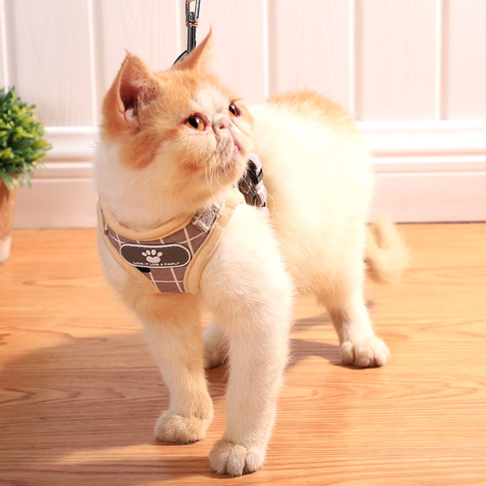 퍼플펫 고양이 하네스 가슴줄 목줄 고양이전용 산책줄 체크무늬