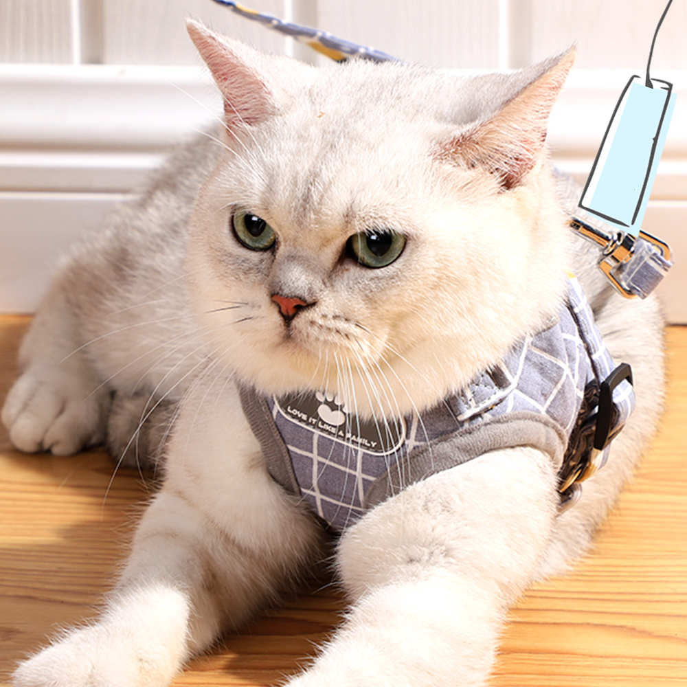 퍼플펫 고양이 하네스 가슴줄 목줄 고양이전용 산책줄 체크무늬