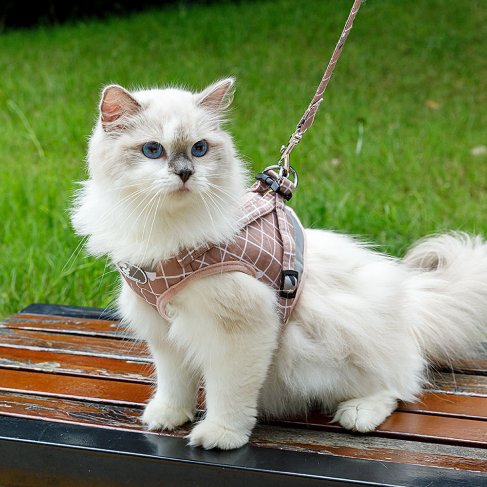 퍼플펫 고양이 하네스 가슴줄 목줄 고양이전용 산책줄 체크무늬