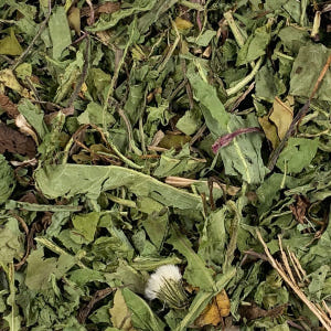 국산 포공영 말린민들레 250g 맛있게 먹은 솔직 후기 - 상품 이미지 4