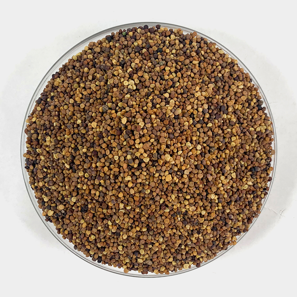 국산 토사자 새삼씨 250g 토사자차 토사자씨 - 상세 이미지 3