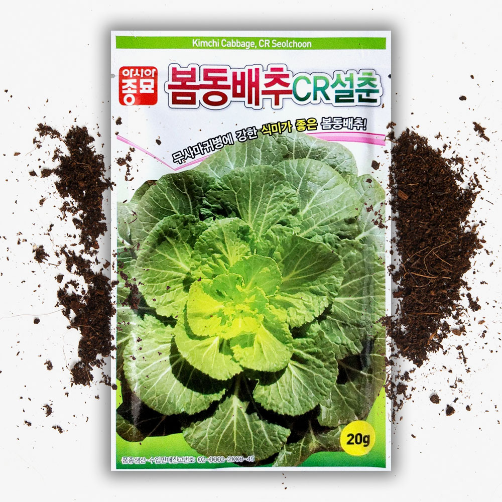CR 봄동 배추씨 20g 봄동씨앗 종자 씨 - 상품 이미지