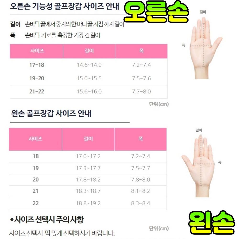 오른손 여성 프로 땀골프장갑 골프반장갑 손등가리개 - 상세 이미지 2