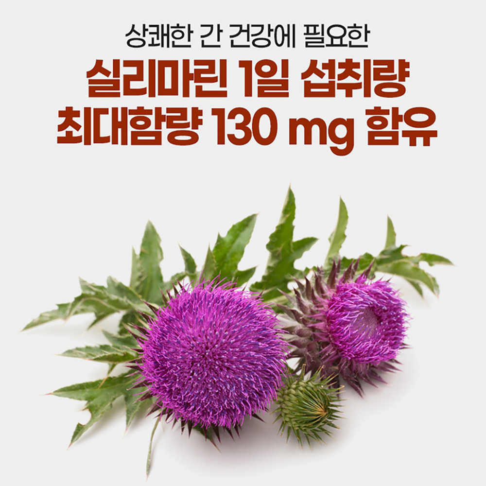 밀크씨슬 실리마린 나이아신 아연 망간 구리 셀렌 판토텐산 비오틴 비타민B군 엽산 3개월분 - 상세 이미지 3