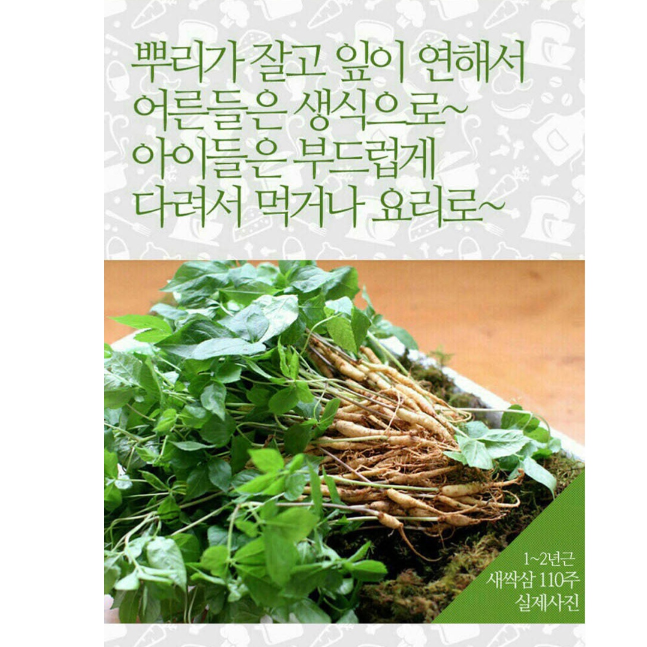 새싹삼 농장 새싹 산삼 묘삼 새싹쌈 100뿌리 이미지 6