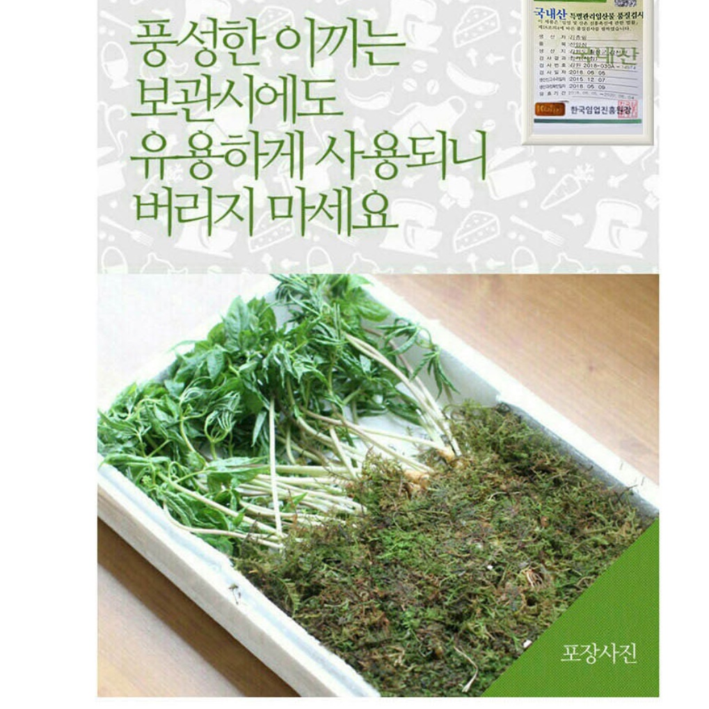 새싹삼 농장 새싹 산삼 묘삼 새싹쌈 100뿌리 - 상세 이미지 2