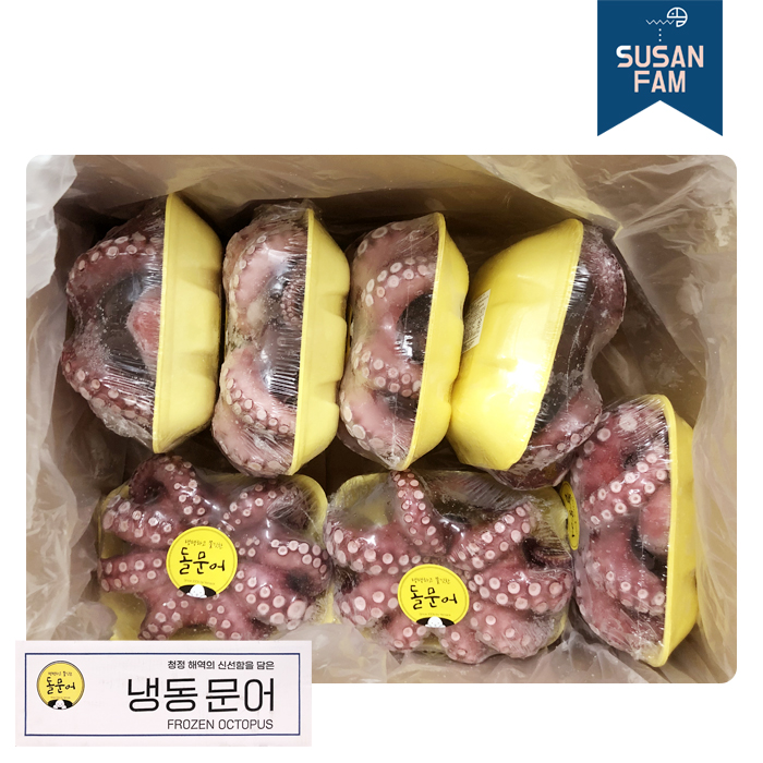 자숙문어 8kg 돌문어 도매 업소용 박스 (모리타니아)