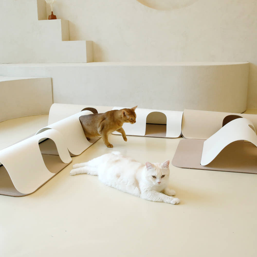 사용 리뷰 사진 2