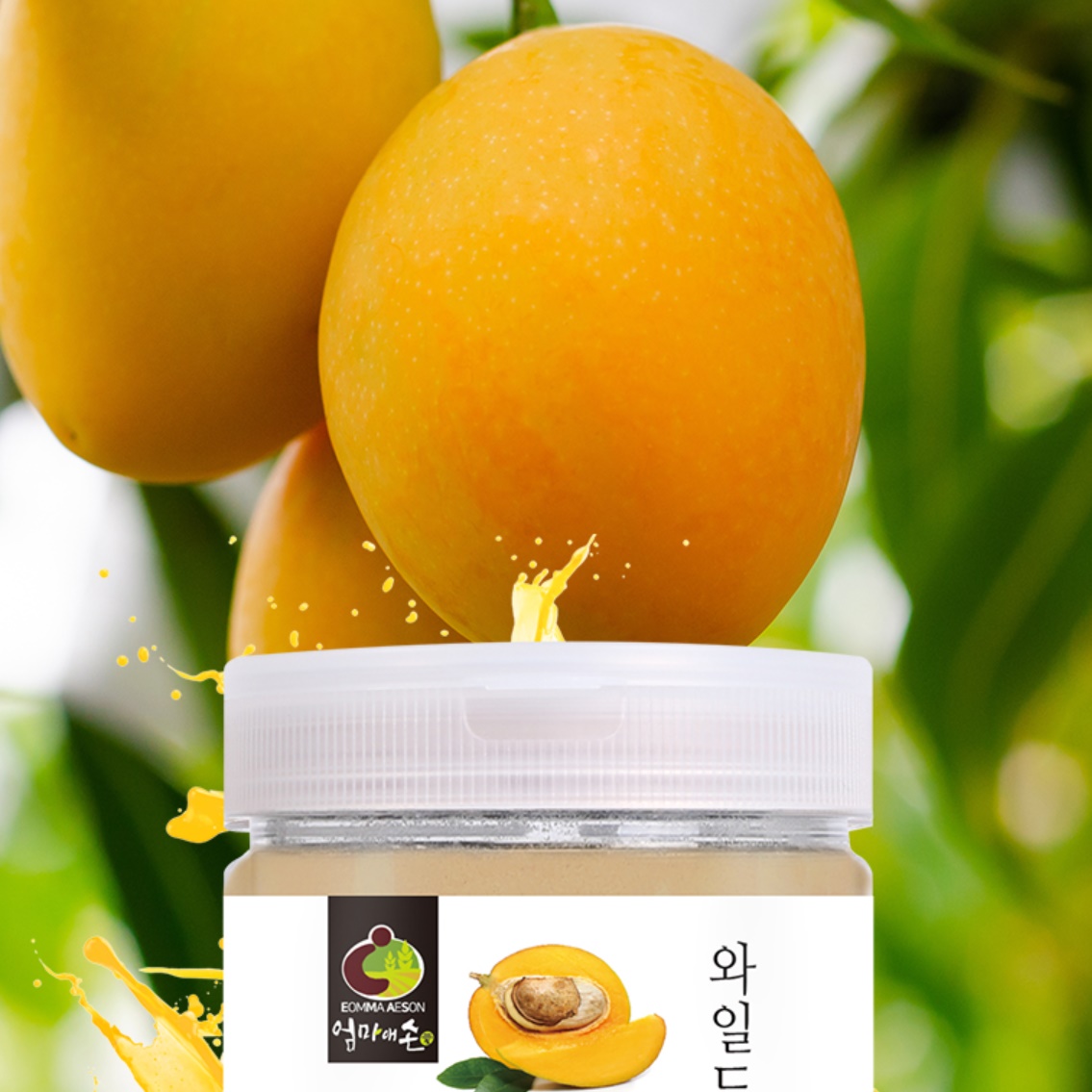 와일드망고분말 와일드망고씨앗가루 씨 추출 추출물