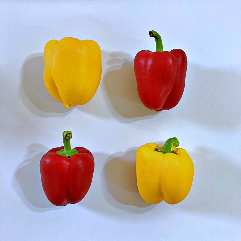 파프리카 1kg 2kg 가정용 못난이 전남 화순 국내산 - 메인 이미지