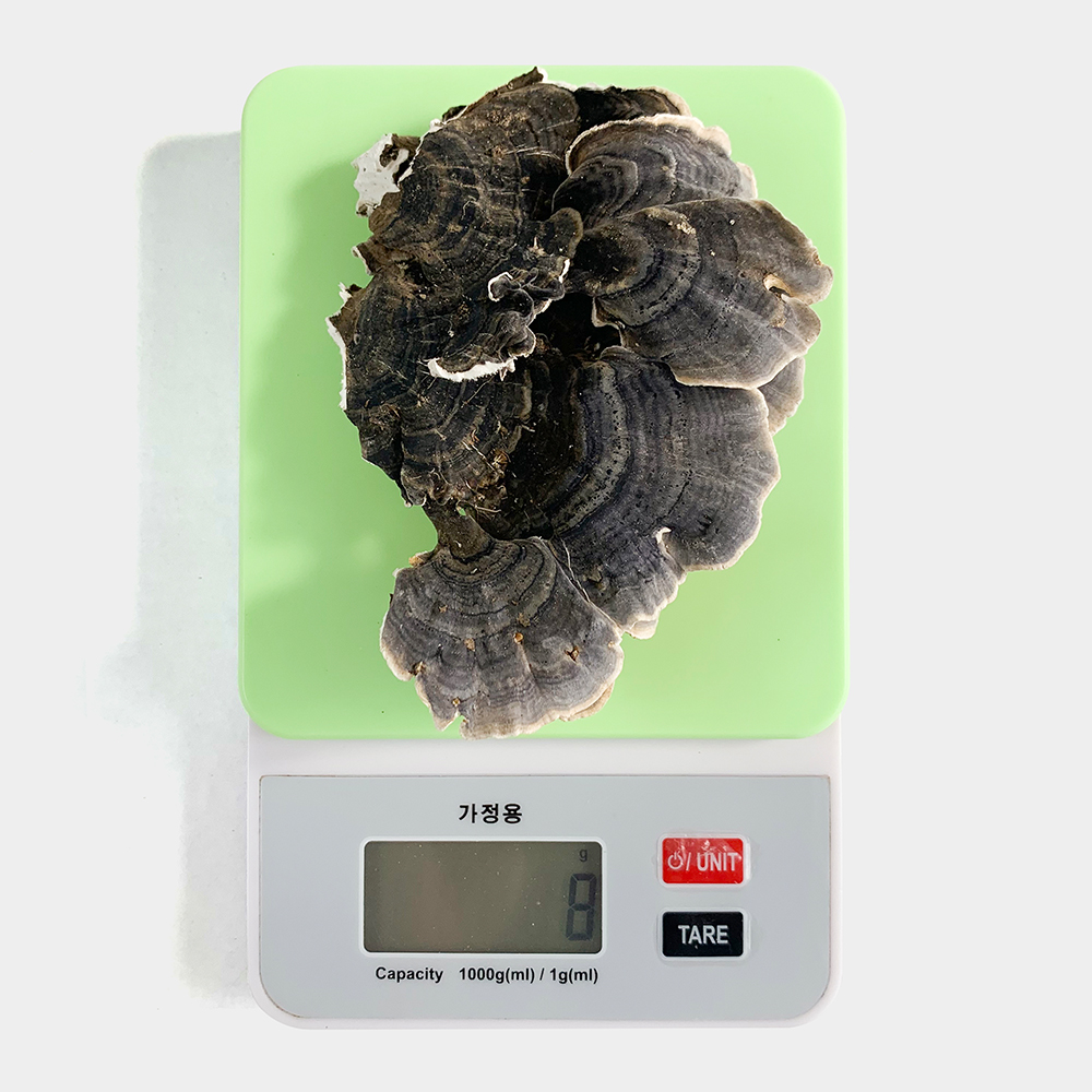 국산 운지버섯 250g - 상세 이미지 5