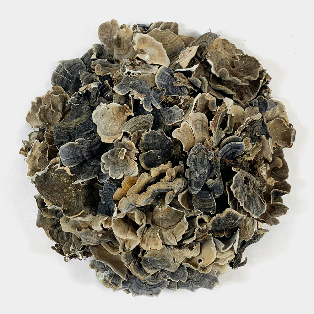 국산 운지버섯 250g - 상세 이미지 3