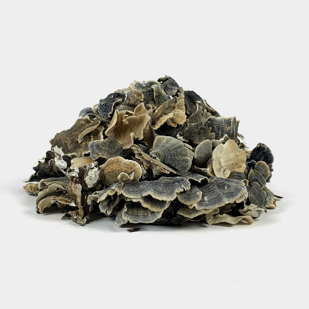 국산 운지버섯 250g - 상세 이미지 2