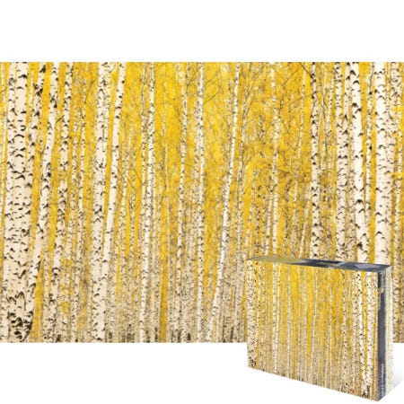 자작나무 숲의 가을 2000피스 풍경 직소퍼즐