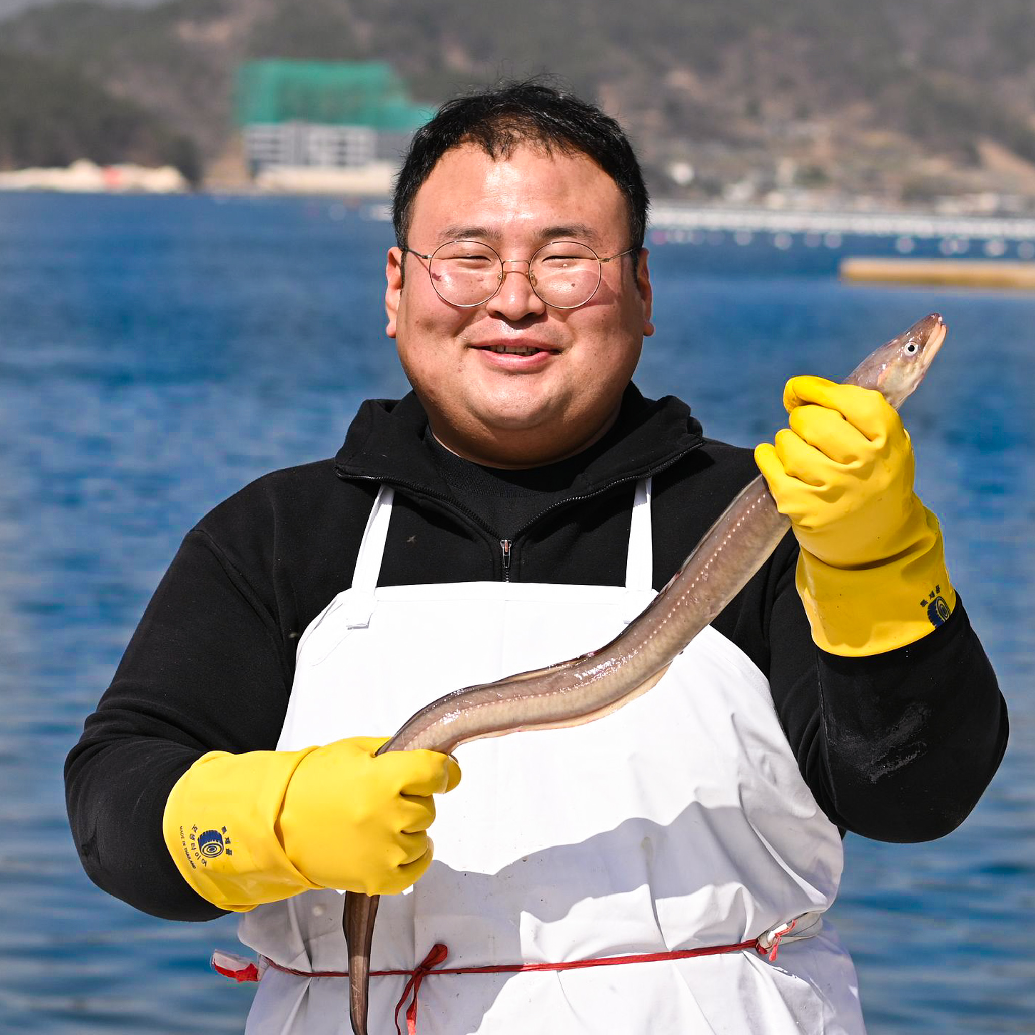 자연산 통영 바다장어 중 이상 손질 국거리 바다장어 붕장어 아나고