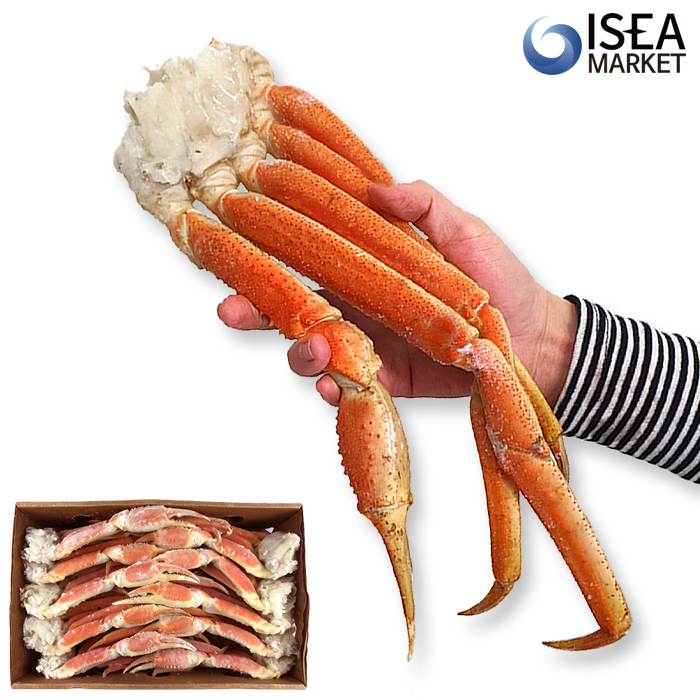 스노우크랩섹션(대게섹션) 5KG 박스 냉동대게 (도매용) - 상품 이미지