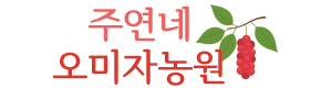 인제 수제 오미자청 원액 오미자엑기스 500ml 임산부 선물 즙 진액 효소 만들기 효능