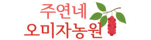 인제 수제 오미자청 원액 오미자엑기스 500ml 임산부 선물 즙 진액 효소 만들기 효능
